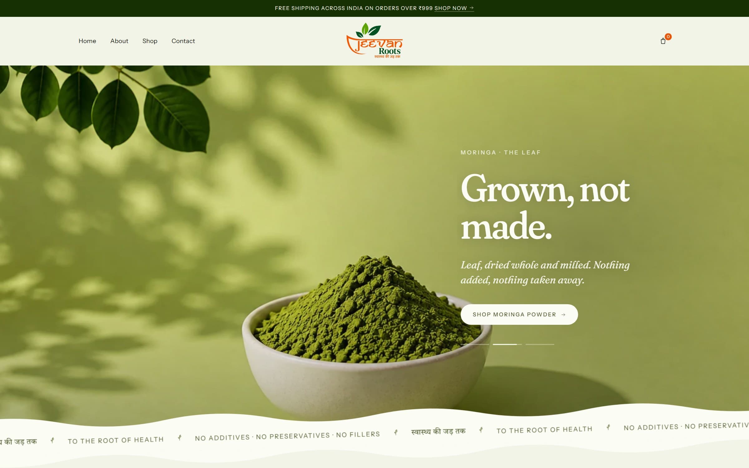 JEEVAN ROOTS project screenshot
